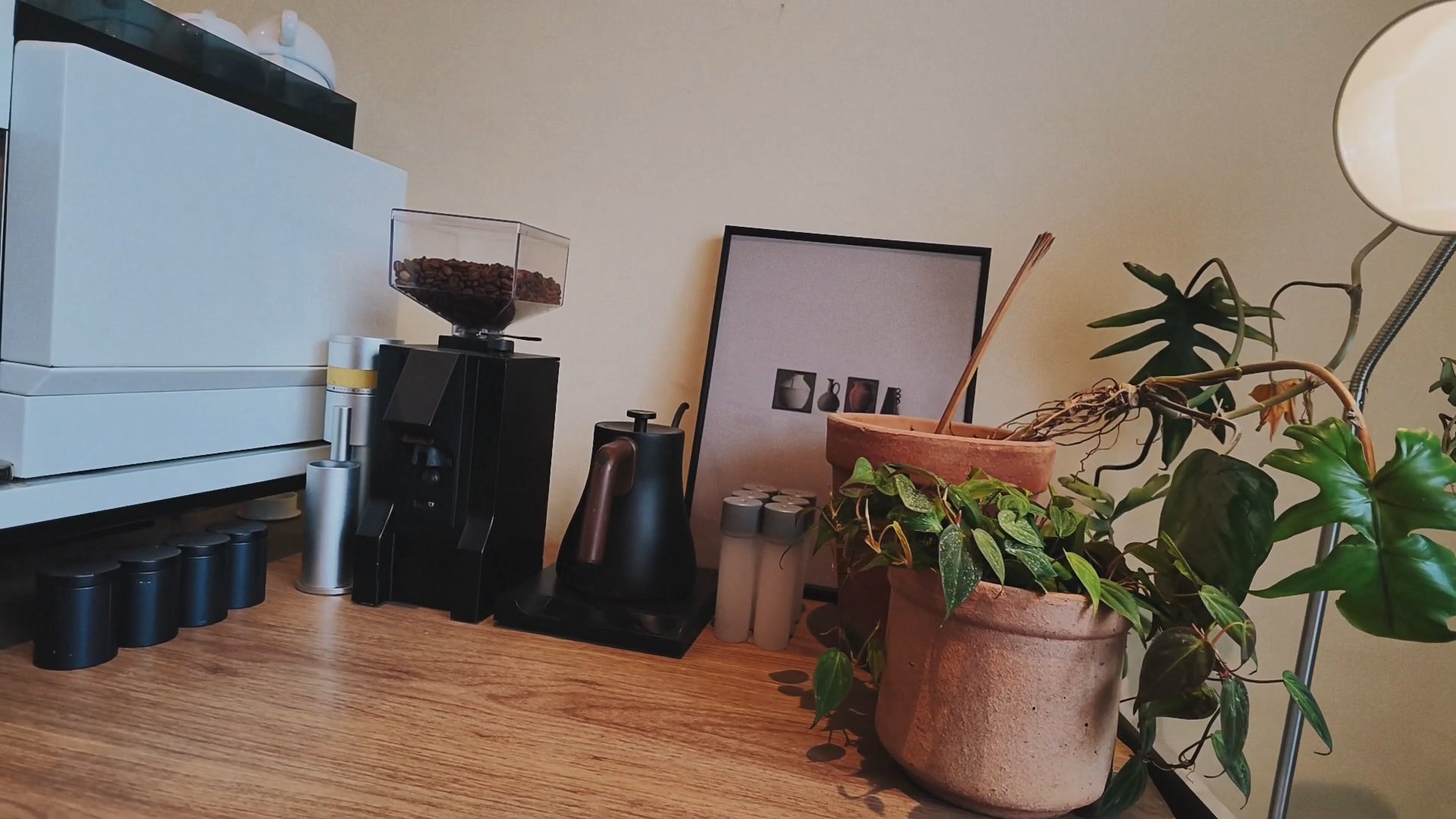 A coffee grinder, a gooseneck kettle, and potted plants on a wooden brew bar.